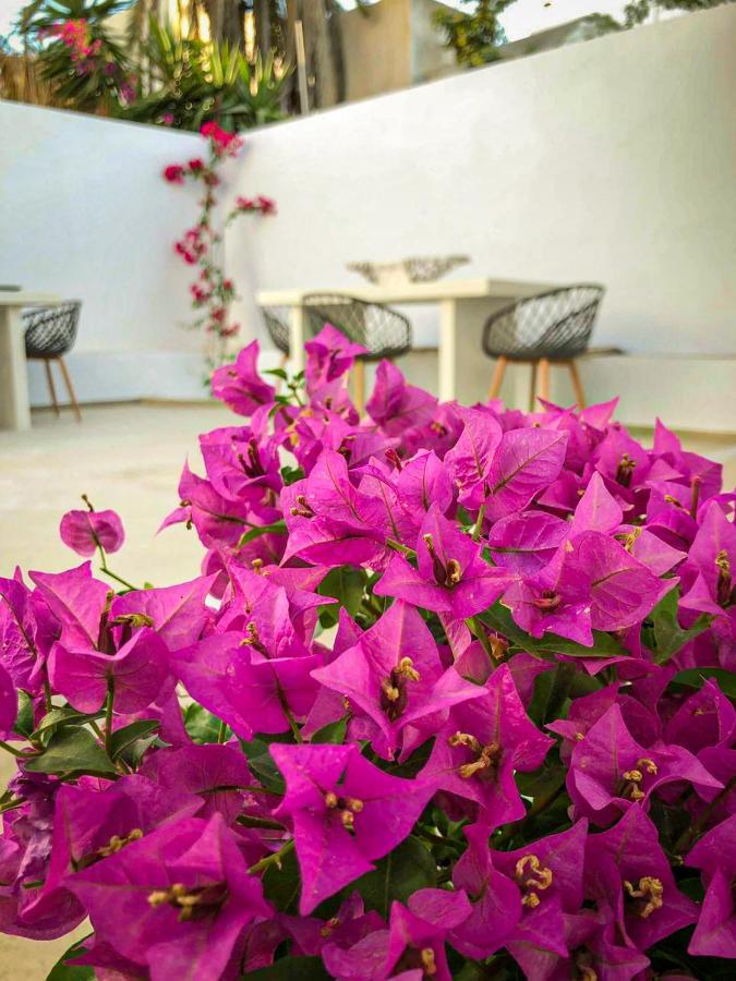 DS Traditional Villas Santorini Island Karterados  Esterno foto